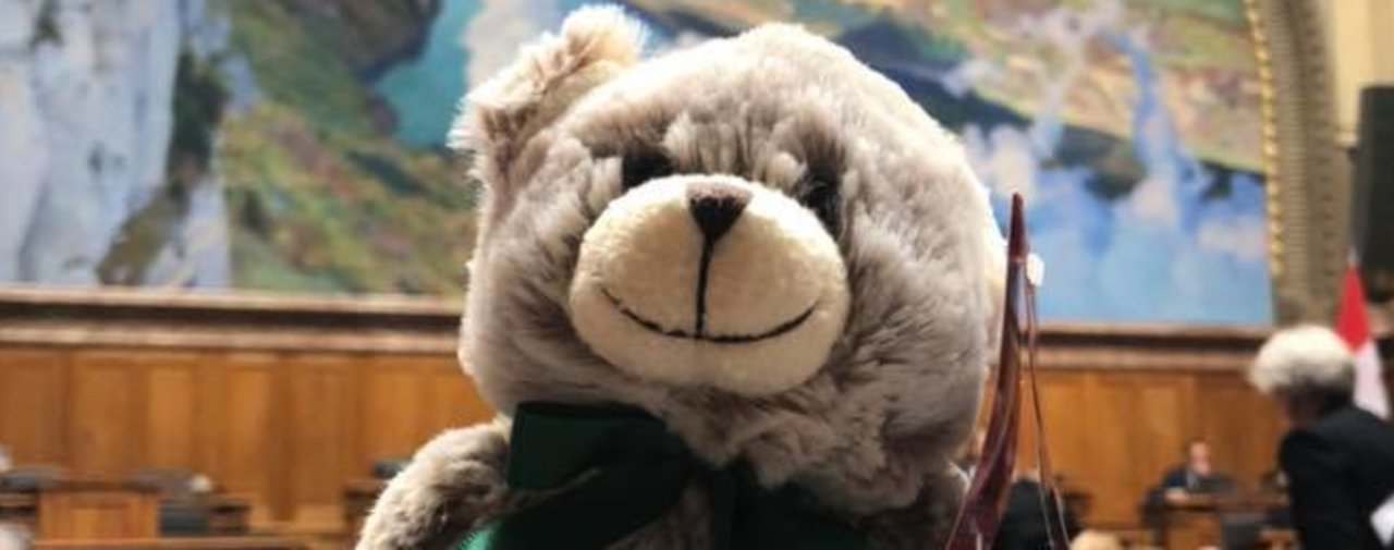Derrière l’ours en peluche, le spectre de la corruption généralisée