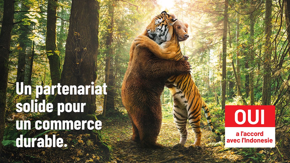 Indonésie : des prétextes plutôt que des arguments